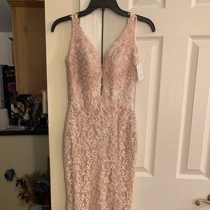 Blush Light Pink Lace Prom/Special Occasion Dress